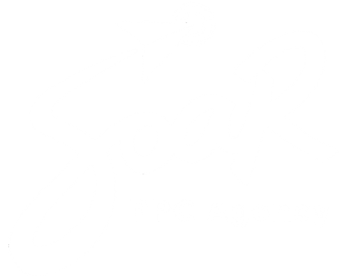 Soar PPC - white - 500x400